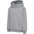 hummel hmlJR Loose Bee Hoodie Kinder 3203 - polignac 122/128