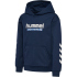 hummel hmlJR Logo Hoodie Kinder 2001 - black 104