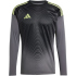 adidas Tiro 25 Competition Torwarttrikot Herren JI9722 -...