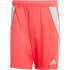 adidas Tiro24 Trainingsshorts Herren A0TG - purple/teassg XS