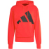 adidas Essentials Big Logo French Terry Hoodie Herren...