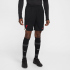 NIKE FC Liverpool Strike Dri-FIT Shorts Herren 010 -...