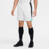 NIKE Strike Dri-FIT Fußballshorts Herren 017 -...