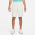 NIKE Dri-FIT Golfshorts Herren 104 - lt orewood brn/lt...