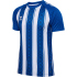 hummel hmlMATCH Striped Fußballtrikot 2114 -...