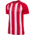 hummel hmlMATCH Striped Fußballtrikot 2114 -...