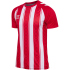 hummel hmlMATCH Striped Fußballtrikot 2114 -...