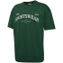 hummel hmlLOOSE Club Sportswear T-Shirt 6195 - dark green XS