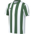 NIKE Division V Dri-FIT Stripe Trikot Kinder 101 -...
