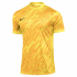 NIKE Dri-FIT Gardien V Torwarttrikot Herren 354 - hyper...