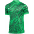 NIKE Dri-FIT Gardien V Torwarttrikot Herren 354 - hyper...