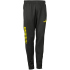 DERBYSTAR Primo Trainingshose Kinder schwarz/gelb 164
