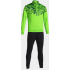JOMA Lion II Trainingsanzug Kinder 021 - fluorgrün 128