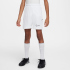 NIKE Academy 25 Dri-FIT Shorts Kinder 010 -...
