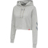 hummel hmlLEGACY Cropped Hoodie Damen 3222 - apricot...