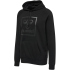 hummel hmlISAM 2.0 Hoodie Herren 1452 - driftwood S
