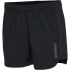 hummel hmlTE VITAL Woven Shorts Damen 1025 - magnet XS