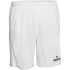 DERBYSTAR Primo Shorts blau/weiß 116