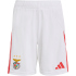 adidas SL Benfica Lissabon Heimshorts 2025/26 Jungen...