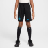 NIKE Inter Mailand Dri-FIT Stadium Heimshorts Kinder 010...