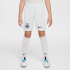 NIKE Inter Mailand Dri-FIT Stadium Auswärtsshorts...
