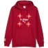 PUMA SFV Schweiz FtblCulture Hoodie Herren 02 - dark...