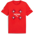 PUMA SFV Schweiz FtblCulture T-Shirt Herren 01 - PUMA...