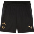 PUMA Galatasaray Istanbul Trainingsshorts Herren 10 -...