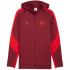 PUMA FC Red Bull Salzburg Evostripe Kapuzenjacke Herren...