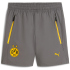 PUMA BVB Borussia Dortmund Pumatech Relaxed Woven Shorts...