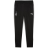 PUMA Borussia Mönchengladbach Trainingshose 2025/26...
