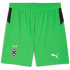 PUMA Borussia Mönchengladbach Shorts 2025/26 Herren...