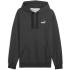 PUMA Essentials Small No. 1 Logo Fleece Hoodie Herren 01...