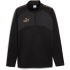 PUMA KingWinter 1/4-Zip Trainings-Top 2.0 Herren 01 -...