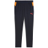 PUMA individualCUP Trainingshose Herren 07 - PUMA...