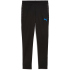 PUMA individualCUP Trainingshose Herren 07 - PUMA...