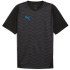 PUMA individualCUP Trikot Herren 07 - PUMA black/PUMA...