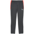 PUMA IndividualLIGA Trainingshose Herren 01 - club navy S
