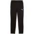 PUMA IndividualLIGA Trainingshose Herren 01 - club navy S