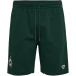 hummel SV Werder Bremen Travel Sweatshorts 6460 - pine...