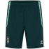 hummel SV Werder Bremen Staff Trainingsshorts 6460 - pine...