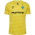 5269 - blazing yellow