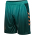 hummel SV Werder Bremen Ausweichshorts 2025/26 6108 -...