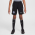 NIKE FC Chelsea London Dri-FIT Stadium Torwartshorts...