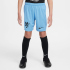 NIKE Niederlande Dri-FIT Stadium Auswärtsshorts...