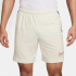 NIKE Academy Dri-FIT Fußball Shorts Herren 066 -...