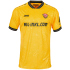 JAKO Dynamo Dresden Heimtrikot 2025/26 307 - dynamic...