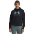UNDER ARMOUR Rival Shimmer Hoodie Damen 007 -...