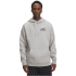 UNDER ARMOUR Rival HBR Logo Hoodie Herren 001 -...