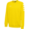 5001 - sports yellow